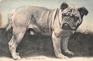POSTCARD DOGS BULLDOG BEAUTY IS BUT ONLY SKIN DEEP - Picture 1 of 2