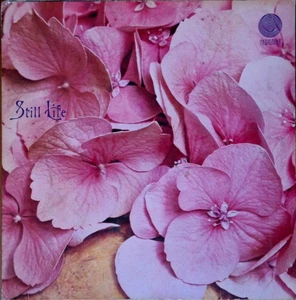 Still Life - Still Life (LP, Album, Gat) 1971 (VG|G+) - Bild 1 von 5