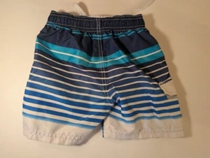 Toddler Boys' Striped Swim Trunks 3T - Gently Used - Picture 1 of 4