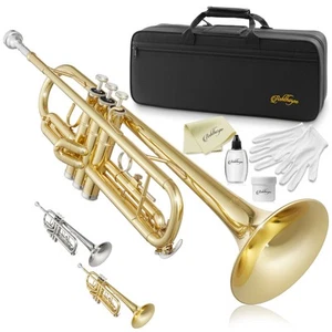 Bb Standard Trumpet, Brass Band Instrument B Flat Key w/ Padded Case, Mouthpiece - Picture 1 of 15
