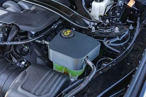 Coolant Tank Cover (2024+ Mustang) - Picture 1 of 1