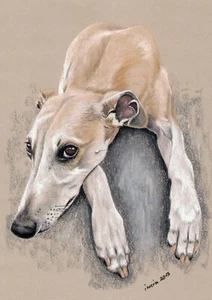 WINDHUND * Galgo Greyhound Whippet *** LEVRIER LIMITED PRINT # 3 - Bild 1 von 1