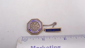 Vintage Hospital Service Medical Volunteer 3600 Hours Award Hat Lapel Pin - Picture 1 of 4