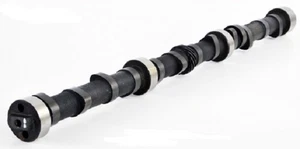 Fits 1965-1978 AMC Jeep 232 3.8L L6 - STAGE 1 HP FLAT TAPPET CAMSHAFT - Bild 1 von 1