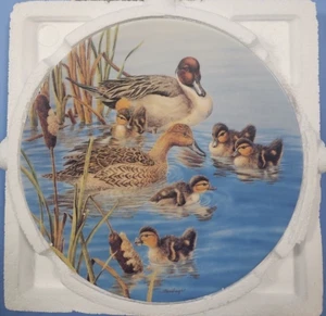 RACE YA MAMÁ! Plato Nature's Nursery Joe Thornbrugh #3 Ducks Knowles Fine China - Imagen 1 de 2