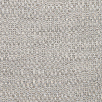 Tela de tapicería exterior/interior Sunbrella® 54" Action Ash 44285-0001 Foto 1 de 2