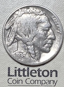 1936-P Buffalo/Indian Head Nickel - Original Clear Date - Littleton Coin Album - Picture 1 of 3