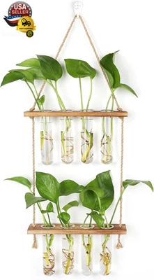 Jardinera colgante de pared terrario 2 tubos de ensayo cansados jarrón vidrio maceta planta propagación Foto 1 de 4