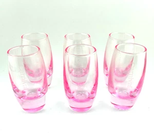 Carnival Cruise Lines geätzte Schnapsgläser Hot Pink 6er Set schwere Böden 3,5" T - Bild 1 von 6