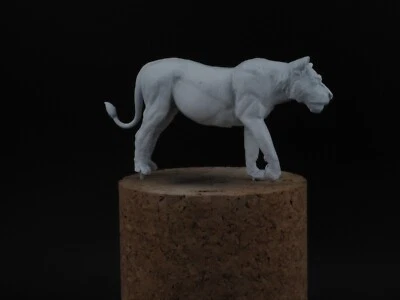 CIXMODELS CixM54027 LEONESSA LIONESS AFRICA 54mm 1:35  ANIMAL SET (NO MANTIS ) - Immagine 1 di 4