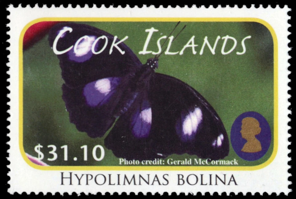 COOK ISLANDS 1389 - Blue Moon Butterfly "Hypolimnas bolina" (pb87161) - Image 1 of 1