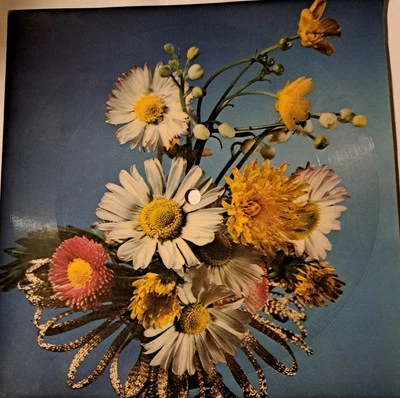 Flexi Boney M - Daddy Cool (1978)  - Bild 1 von 2