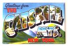 Greetings from Catskill Mountains FRIDGE MAGNET souvenir new york "style B"