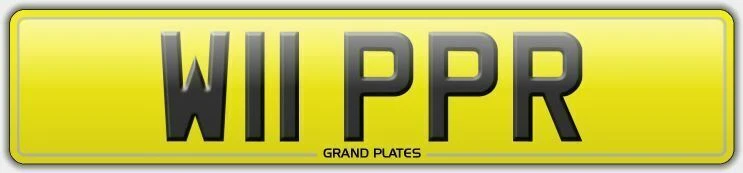 W11 PPR MATRÍCULA LÁTIGO R REGISTRO WHIPPER ASIGNADO WHIPPET GRATIS UK WHIPPS  Foto 1 de 1