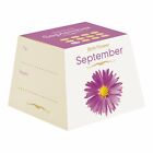 Gift Republic Birth Flowers September Grow Your Own Aster Gift