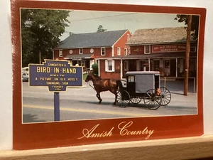 Amish Horse & Buggy Near Old Village Store: Bird- In-Hand, PA - Vintage Postcard - Picture 1 of 3