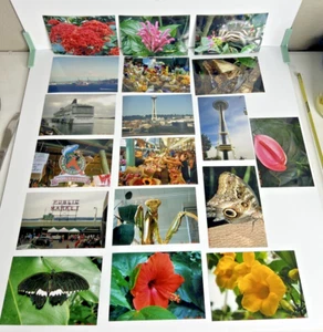Photographs Pike Place Fish Market Seattle Fishing Flowers Color Photos 6x4 Lot - Picture 1 of 6
