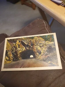 Túnel de 600 pies en Skyline Drive en Virginia - Imagen 1 de 2