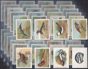 B.A.T.-FULL SET- BIRDS BEASTS & FISHES 1934 (M50 CARDS) EXCELLENT