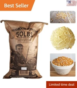 Núcleos de palomitas de maíz - cultivados en granja, sin OGM, sin gluten - extra grandes, antiguos - Imagen 1 de 11