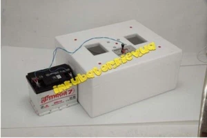 Incubadora automática Nesushka-M 76 huevos 12W con ventilador Ucrania - Imagen 1 de 4