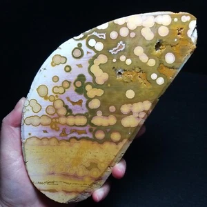 Raro 653G Natural Orbicular Océano Jaspe Piedra Áspera Curación Madagascar QA216 - Imagen 1 de 11