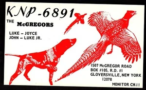 QSL QSO RADIO CARD "Hunting Dog/Pheasant/The McGregors/Luke/Joyce", NY (Q2236) - Picture 1 of 2