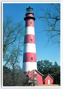 Postal 6x4 Assateague Island National Seashore Lighthouse Virginia - Imagen 1 de 2
