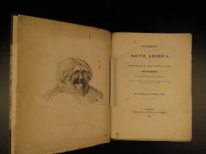 1825 1ed Wanderings South America Natural History Darwin & Wallace Inspiration - Picture 1 of 12