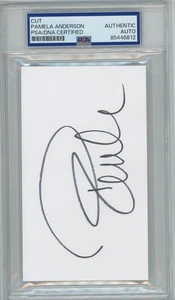 Pamela Anderson Baywatch Corte 3x5 PSA/DNA Firmado Autografiado - Imagen 1 de 1