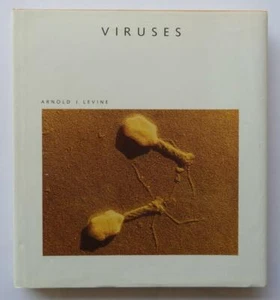 (187) Viruses: by Arnold J. Levine A Scientific American Library Book HB 1991 - Picture 1 of 11