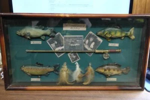 Diorama de pesca colgante de pared - Imagen 1 de 10