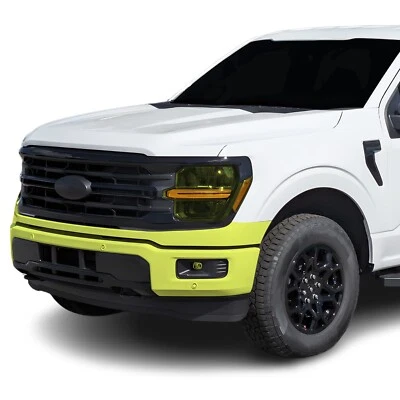 Kit de sujetador transparente de película de protección de pintura precortada PPF para Ford F150 2024+ Foto 1 de 4