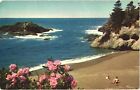 Surf & Sparkling Sands Pacific Ocean Seacoast, Coastal Region of Oregon Postcard