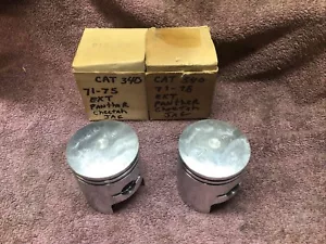 Arctic Cat Panther EXT JAG 340, 1971-1975, Pistons PAIR - Piston Vintage - Picture 1 of 3