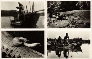 POSTALES FOTOGRÁFICAS VINTAGE DE 10 REPTILES COCODRILOS GUINEA FRANCESA 1940 (L4210) - Imagen 1 de 3