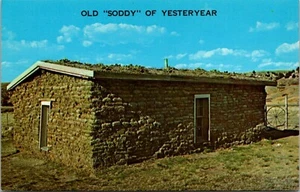 Old "Soddy" of Yesteryear South Dakota Postcard - Picture 1 of 2
