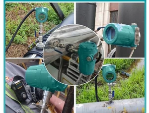 Thermal Gas Mass Flow Meter Insertion-Type Pipeline Small-Flow Gas Probe - Picture 1 of 19