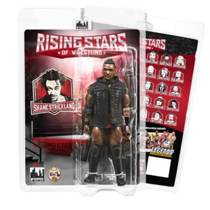 Rising Stars of Wrestling Series: Shane Strickland - Picture 1 of 3