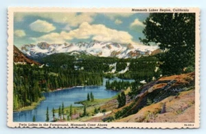 1940s Stephen Willard CA Postcard Twin Lakes Mammoth Crest Mammoth Lakes Region - Picture 1 of 2