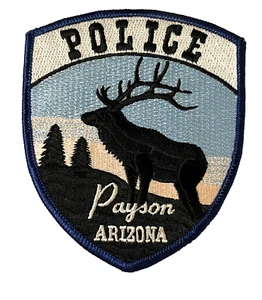 PARCHE POLICÍA PAYSON ARIZONA (PD19) - Imagen 1 de 3