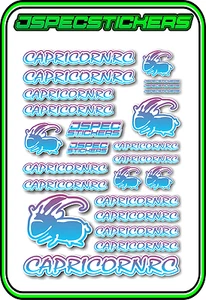 CAPRICORN RC STICKER A5 LAB 1/8 F1 1/10 TESLA ELECTRIC NITRO CAR HARD BLU PUR W - Picture 1 of 9