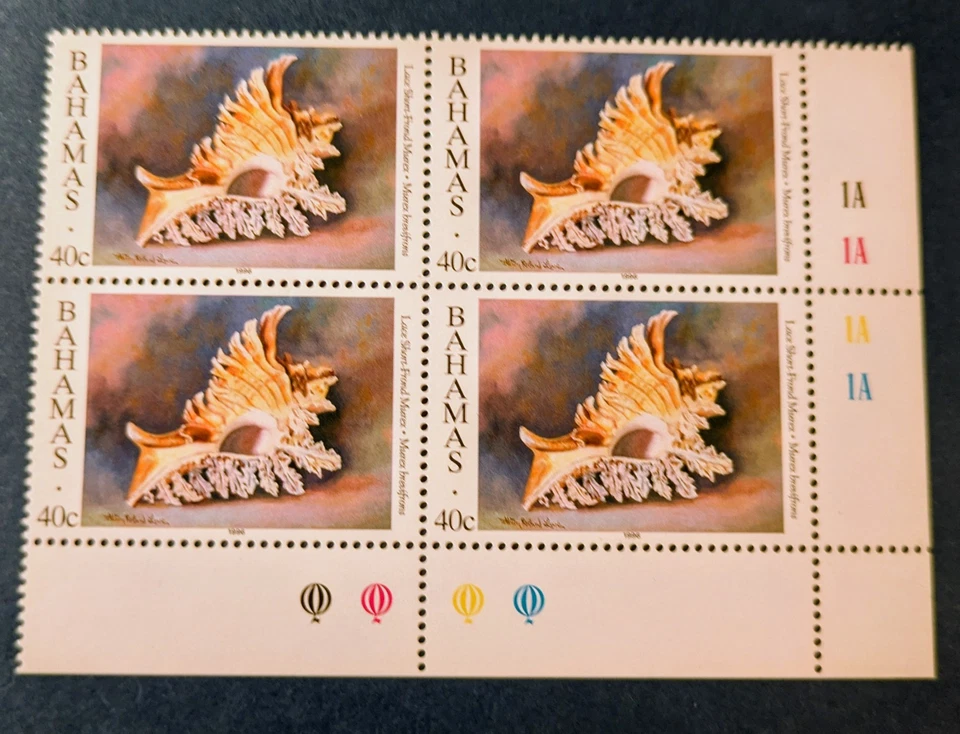 Bahamas 1996 Superb Mint corner block Lace short frond Murex Sea shell Sg 1064  - Image 1 of 1