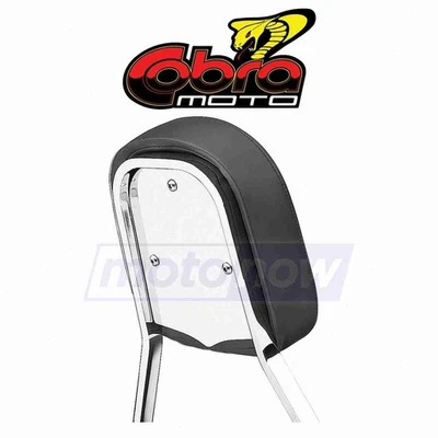 Cobra Standard Sissy Bar Insert for 1999-2003 Yamaha XV1600A Road Star - hm Foto 1 de 4