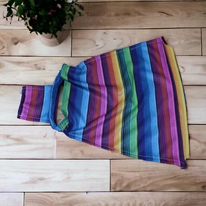 Rainbow Striped Fringed Dog Poncho Clothing Small - Picture 1 of 8