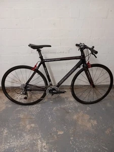 Bergamont Dolce Mgn, Speedbike, RH 54, 28 Zoll, 4 8 Kg - Bild 1 von 13