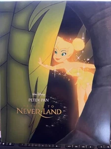 Peter Pan Return To Neverland Commemorative Lithograph Print Disney - Picture 1 of 2