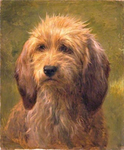 high quality oil painting 100% handpainted on canvas "a dog" - Picture 1 of 1