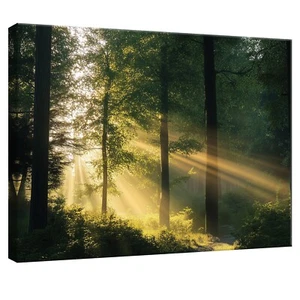 Leinwand Bilder Wald Natur Wanddeko Wandbilder Groß Leinwandbild XXL Bilder - Bild 1 von 7