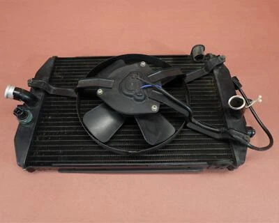 99-13 YAMAHA ROYAL STAR XVZ 1300 TF XVZ13 Radiador con Ventilador Foto 1 de 4